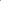 PARIS VIOLET